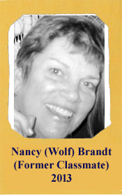 Nancy Wolf Brandt